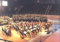 Фото Владимира ЛАРИОНОВА